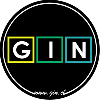 GIN (Logo PNG)